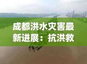 成都洪水灾害最新进展:抗洪救灾,共筑家园防线