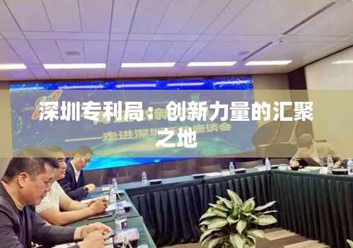 深圳专利局:创新力量的汇聚之地
