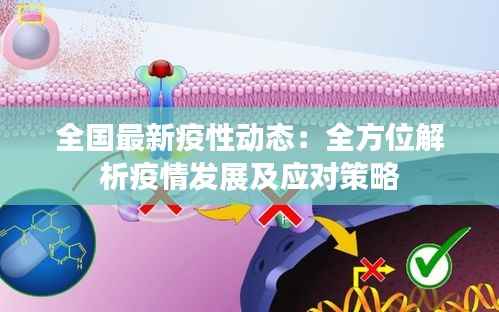 全国最新疫性动态:全方位解析疫情发展及应对策略