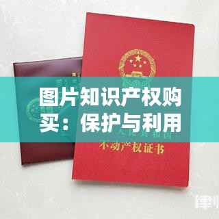 图片知识产权购买:保护与利用的双重考量