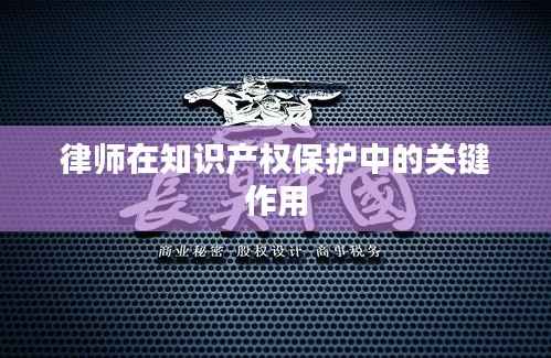 律师在知识产权保护中的关键作用