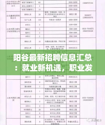 阳谷最新招聘信息汇总:就业新机遇,职业发展新起点