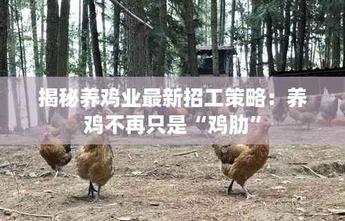 凿壁偷光 第3页