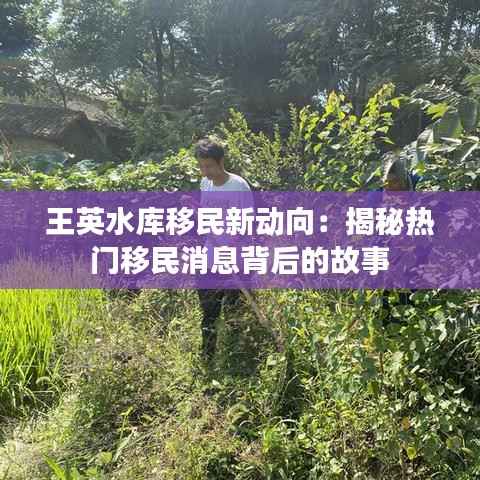 王英水库移民新动向:揭秘热门移民消息背后的故事