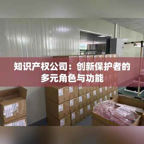 知识产权公司:创新保护者的多元角色与功能