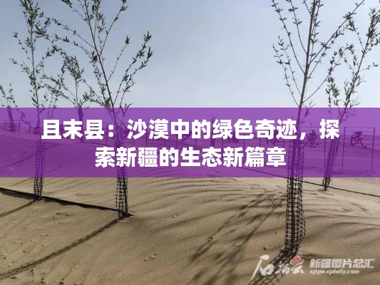 且末县:沙漠中的绿色奇迹,探索新疆的生态新篇章