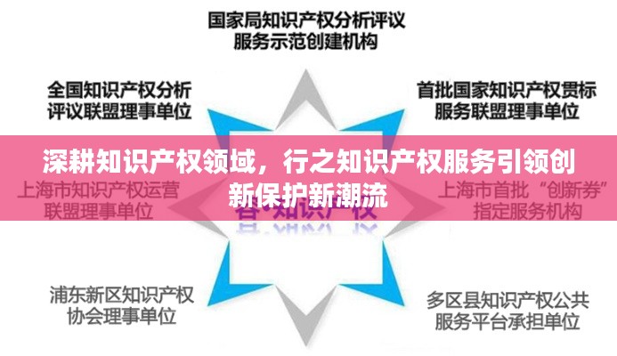 深耕知识产权领域,行之知识产权服务引领创新保护新潮流