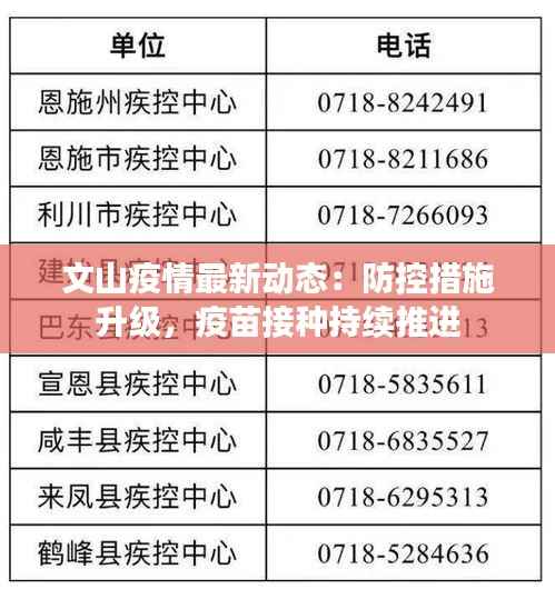 文山疫情最新动态:防控措施升级,疫苗接种持续推进