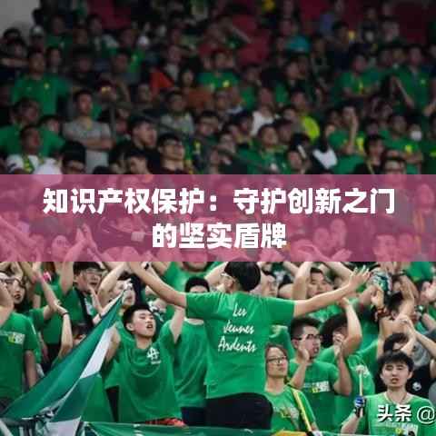 知识产权保护:守护创新之门的坚实盾牌