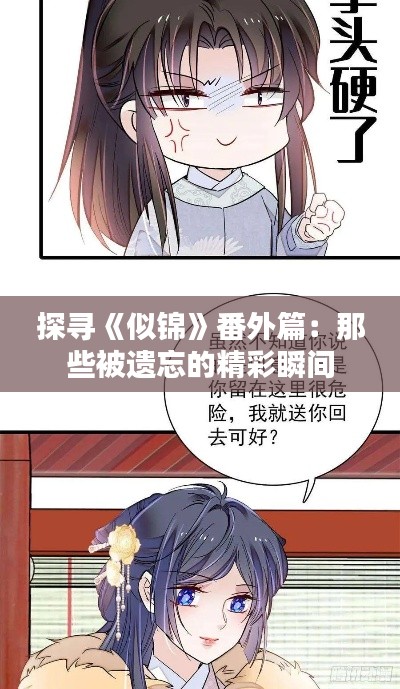 探寻《似锦》番外篇:那些被遗忘的精彩瞬间