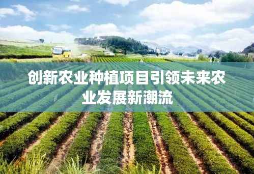 创新农业种植项目引领未来农业发展新潮流
