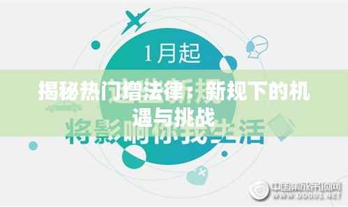 揭秘热门增法律:新规下的机遇与挑战