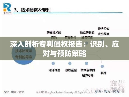 深入剖析专利侵权报告:识别、应对与预防策略