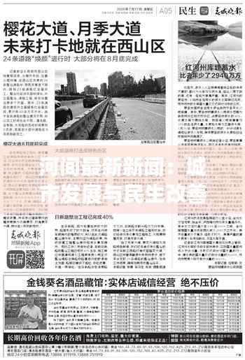 河间最新新闻:城市发展与民生改善的交响曲