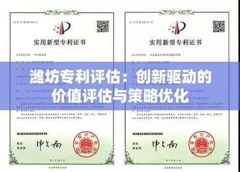 潍坊专利评估:创新驱动的价值评估与策略优化