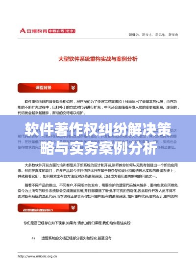 软件著作权纠纷解决策略与实务案例分析