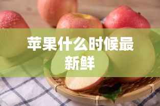 苹果什么时候最新鲜