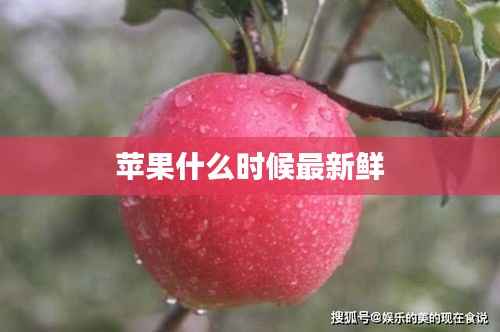苹果什么时候最新鲜