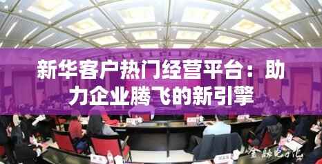 新华客户热门经营平台:助力企业腾飞的新引擎