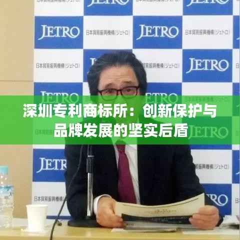 深圳专利商标所:创新保护与品牌发展的坚实后盾