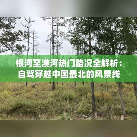 根河至漠河热门路况全解析:自驾穿越中国最北的风景线