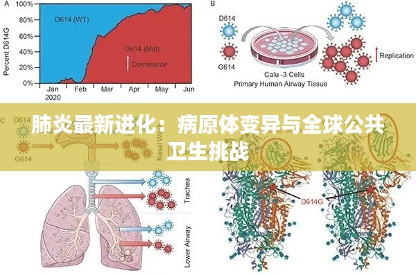 肺炎最新进化:病原体变异与全球公共卫生挑战
