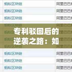 专利驳回后的逆袭之路:如何修改并成功获批