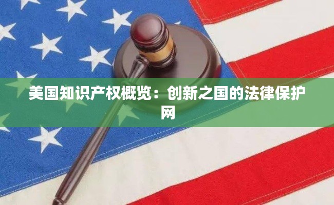 美国知识产权概览:创新之国的法律保护网