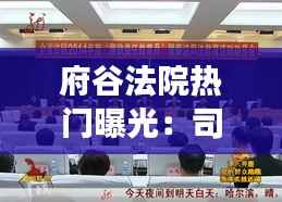 府谷法院热门曝光:司法公正与透明度的实践与反思