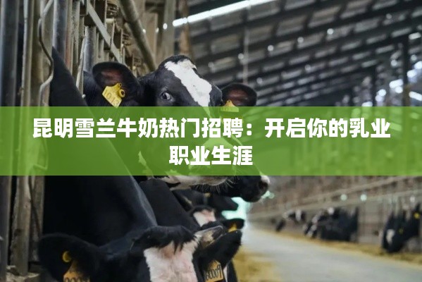 昆明雪兰牛奶热门招聘:开启你的乳业职业生涯