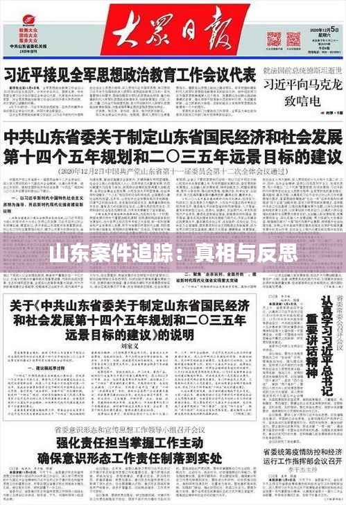 山东案件追踪:真相与反思