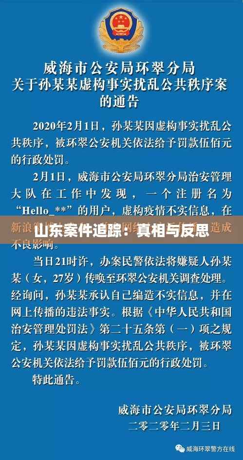 山东案件追踪:真相与反思