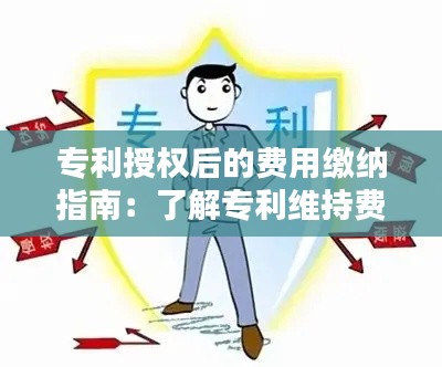 专利授权后的费用缴纳指南:了解专利维持费与年费