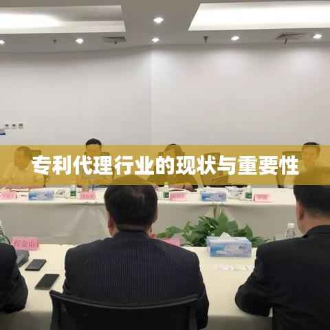专利代理行业的现状与重要性