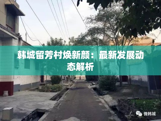 韩城留芳村焕新颜:最新发展动态解析