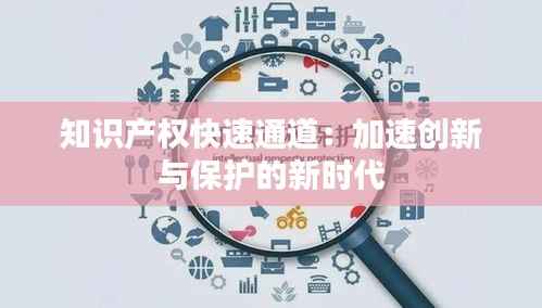 知识产权快速通道:加速创新与保护的新时代