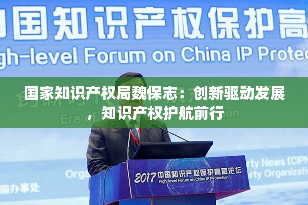 国家知识产权局魏保志:创新驱动发展,知识产权护航前行