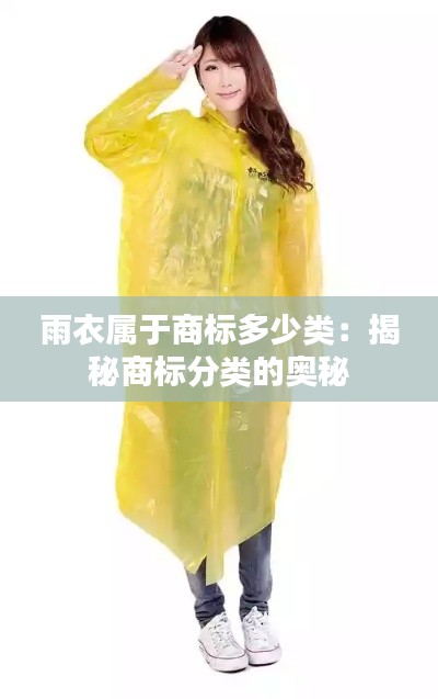 雨衣属于商标多少类:揭秘商标分类的奥秘
