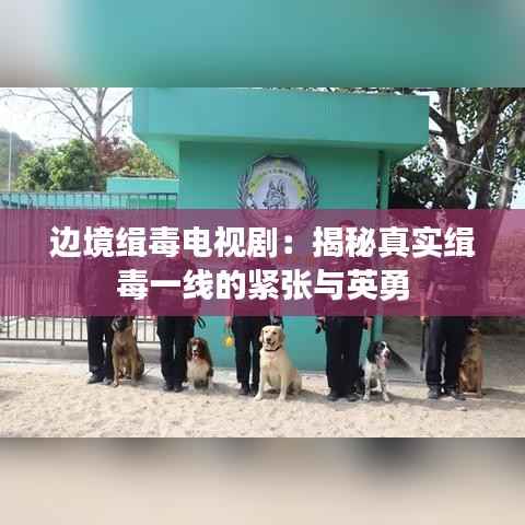 边境缉毒电视剧:揭秘真实缉毒一线的紧张与英勇