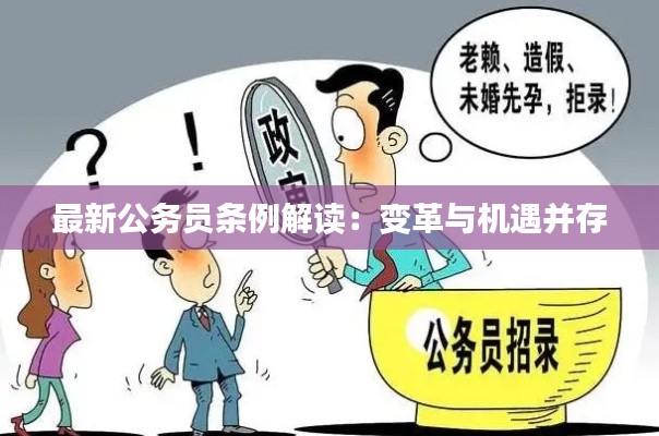 最新公务员条例解读:变革与机遇并存