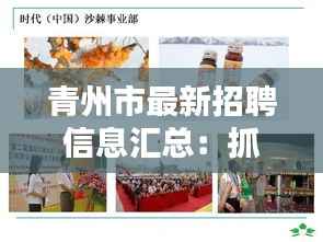 青州市最新招聘信息汇总:抓住机遇,成就未来