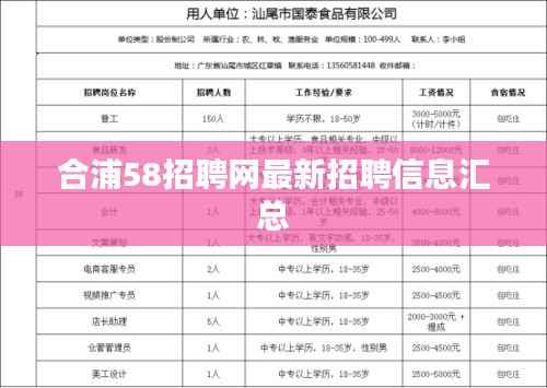 合浦58招聘网最新招聘信息汇总