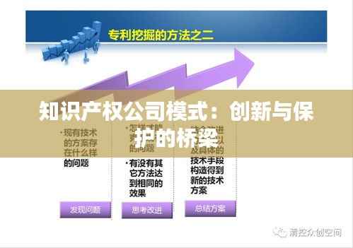 知识产权公司模式:创新与保护的桥梁