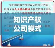 知识产权公司模式:创新与保护的桥梁