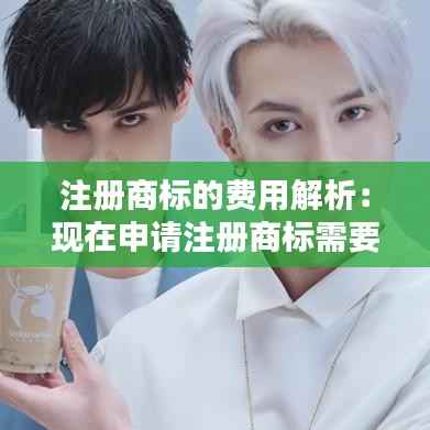 注册商标的费用解析:现在申请注册商标需要多少钱?