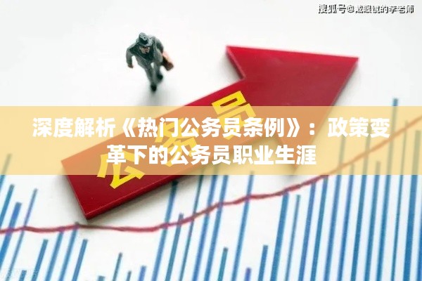 深度解析《热门公务员条例》:政策变革下的公务员职业生涯