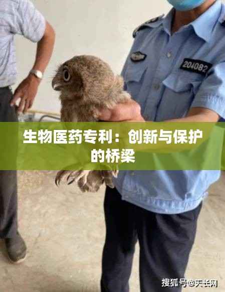 生物医药专利:创新与保护的桥梁