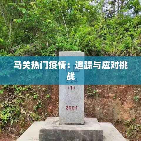 马关热门疫情:追踪与应对挑战