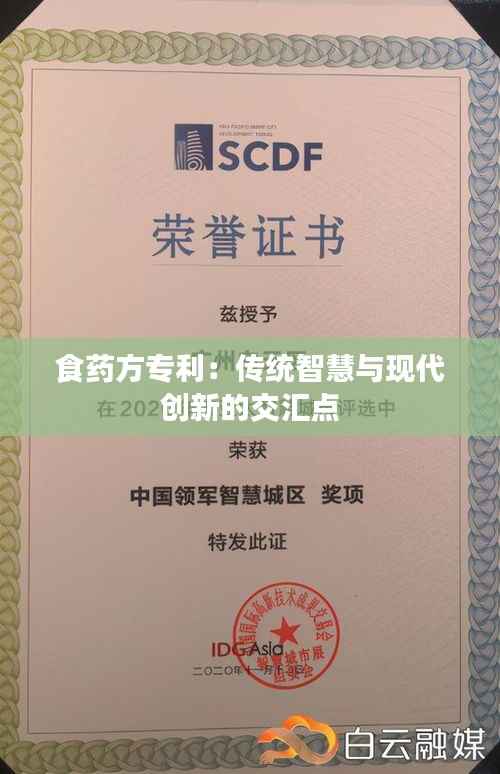 食药方专利:传统智慧与现代创新的交汇点
