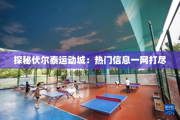 探秘伏尔泰运动城:热门信息一网打尽